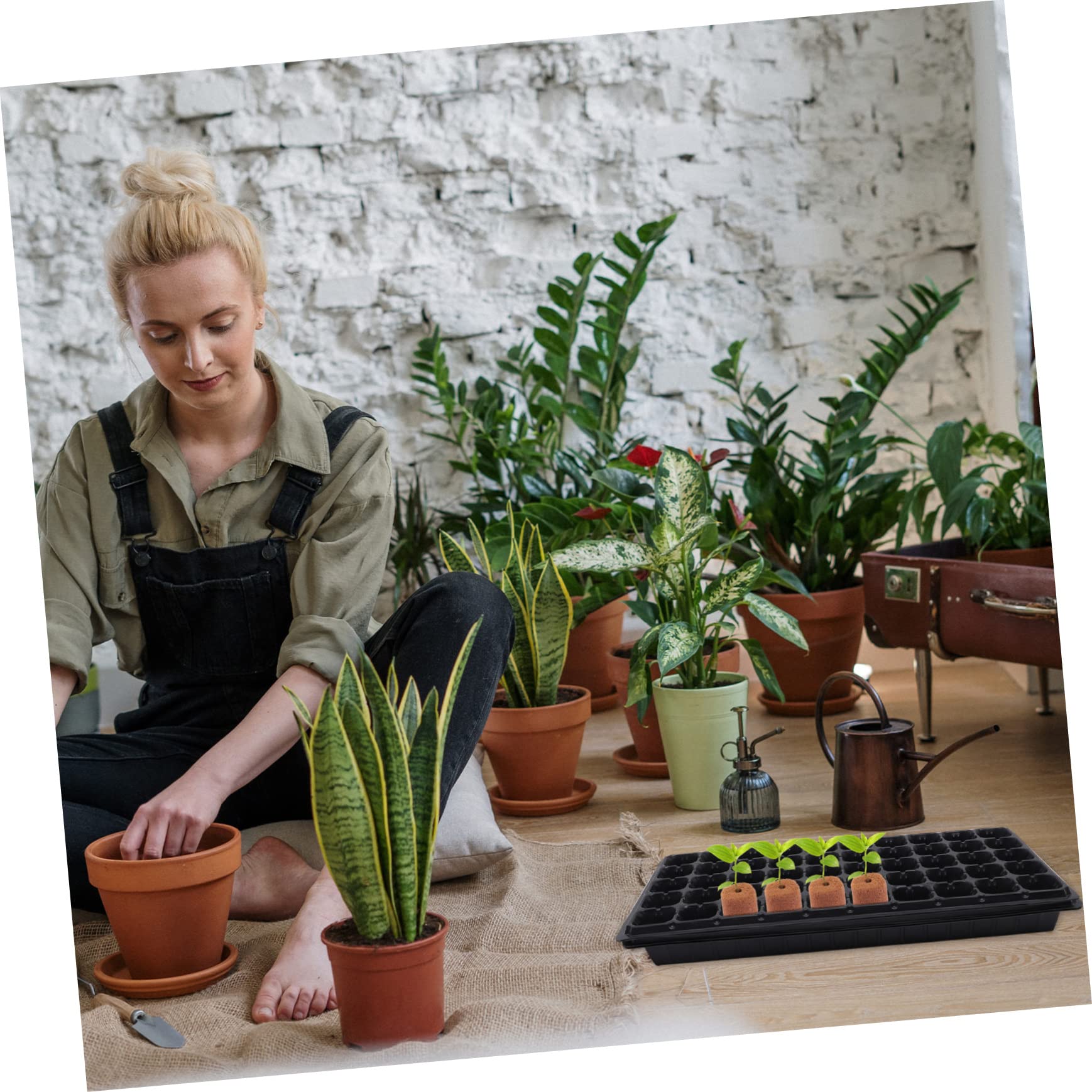 Didiseaon 400pièces Nutrient Soil Blocks pour Cultivation De Plantes Et Fleurs Substrat De pour Culture Hydroponique Et Jardinage