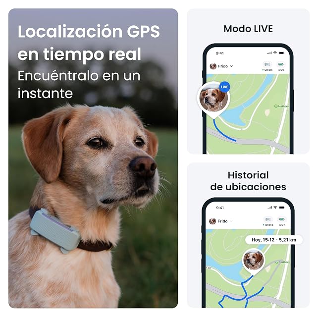 Foto 2 de 8 de Tractive - Gps para perros TRDOG6BR Tractive
