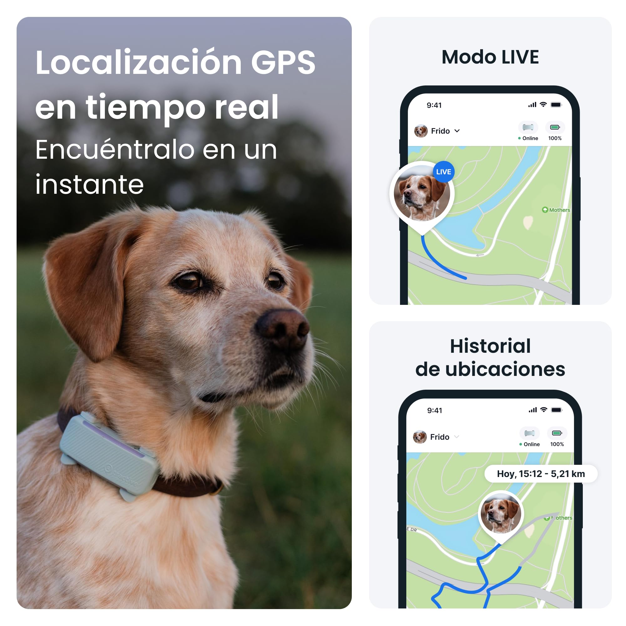 Tractive - GPS perros | 2025 Edición | N.º 1 del mercado | Localización en tiempo real | Alertas antifuga | Monitor de actividad | Avisos de salud | Seguimiento de ladridos (Menta)