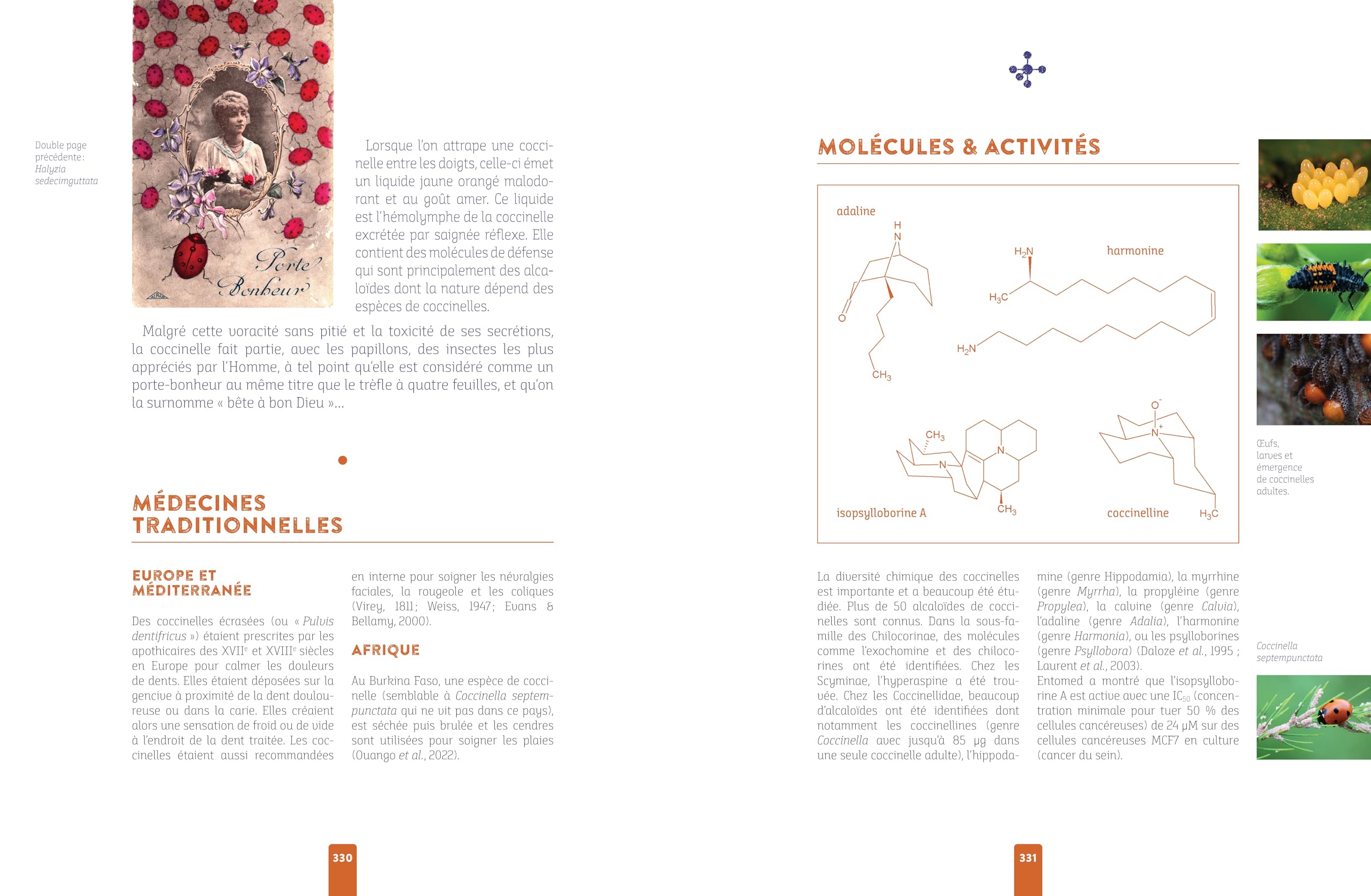 L'insecte médicinal