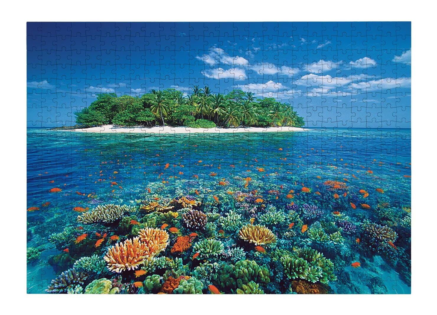 Puzzle Oceano, Puzzle 2000 Pezzi Arte per Adulti, Regalo Uomo e Donna -4547