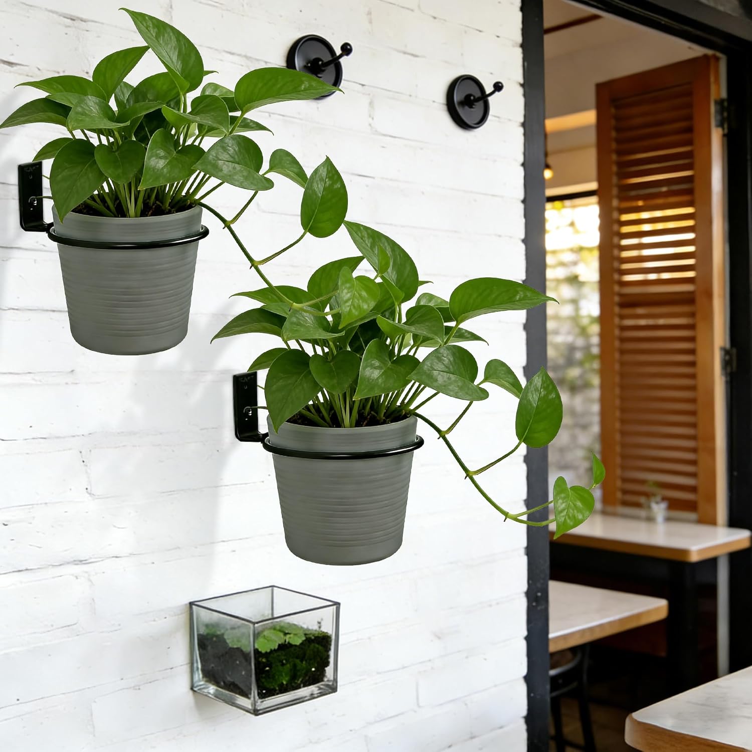 6 Pack 8 Inch Flower Pot Holder Ring Wall Mount Brackets, Black Metal Plant Holder Rings with 12 Screws & 12 Bolts, Potted Planter Brackets for Indoor Outdoor Garden, Patio