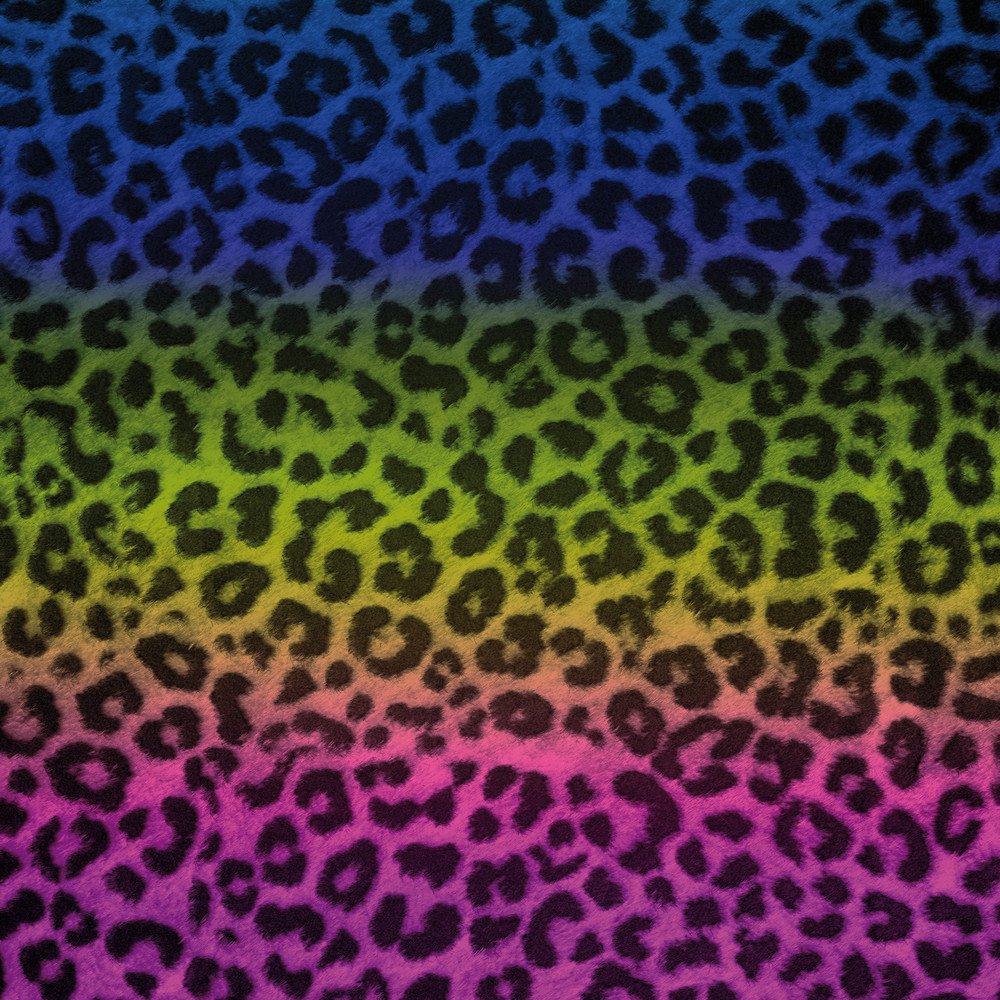 DeinDesign Skin Compatibile con Nintendo Wii Pellicola Adesivi Leopardo Leopardato Arcobaleno