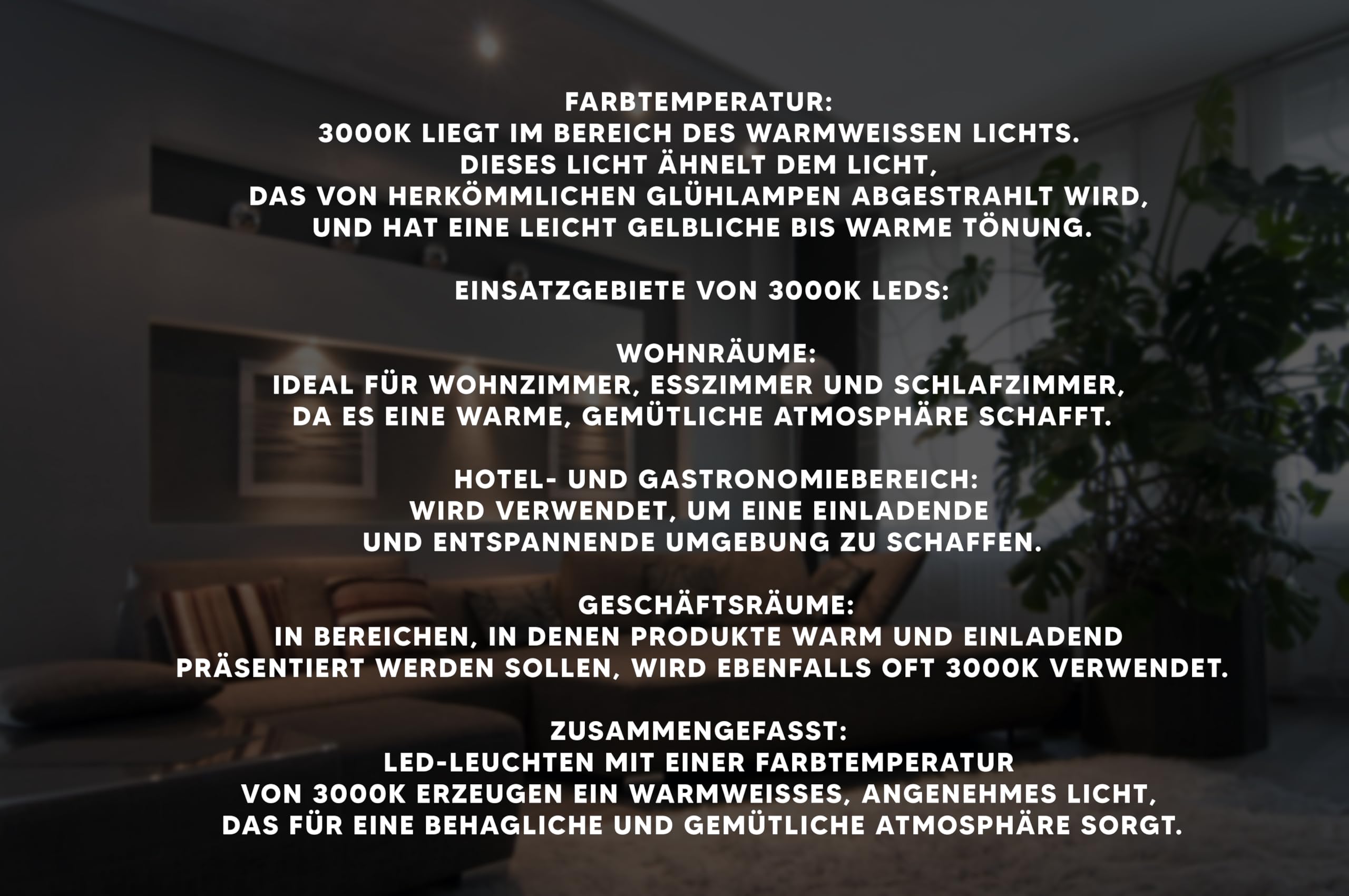 JungesLicht 3 x Set de LED meuble plat - Spot encastré Tim 2 Watt 12 V - Blanc chaud + transformateur LED 15 W + Distributeur AMP