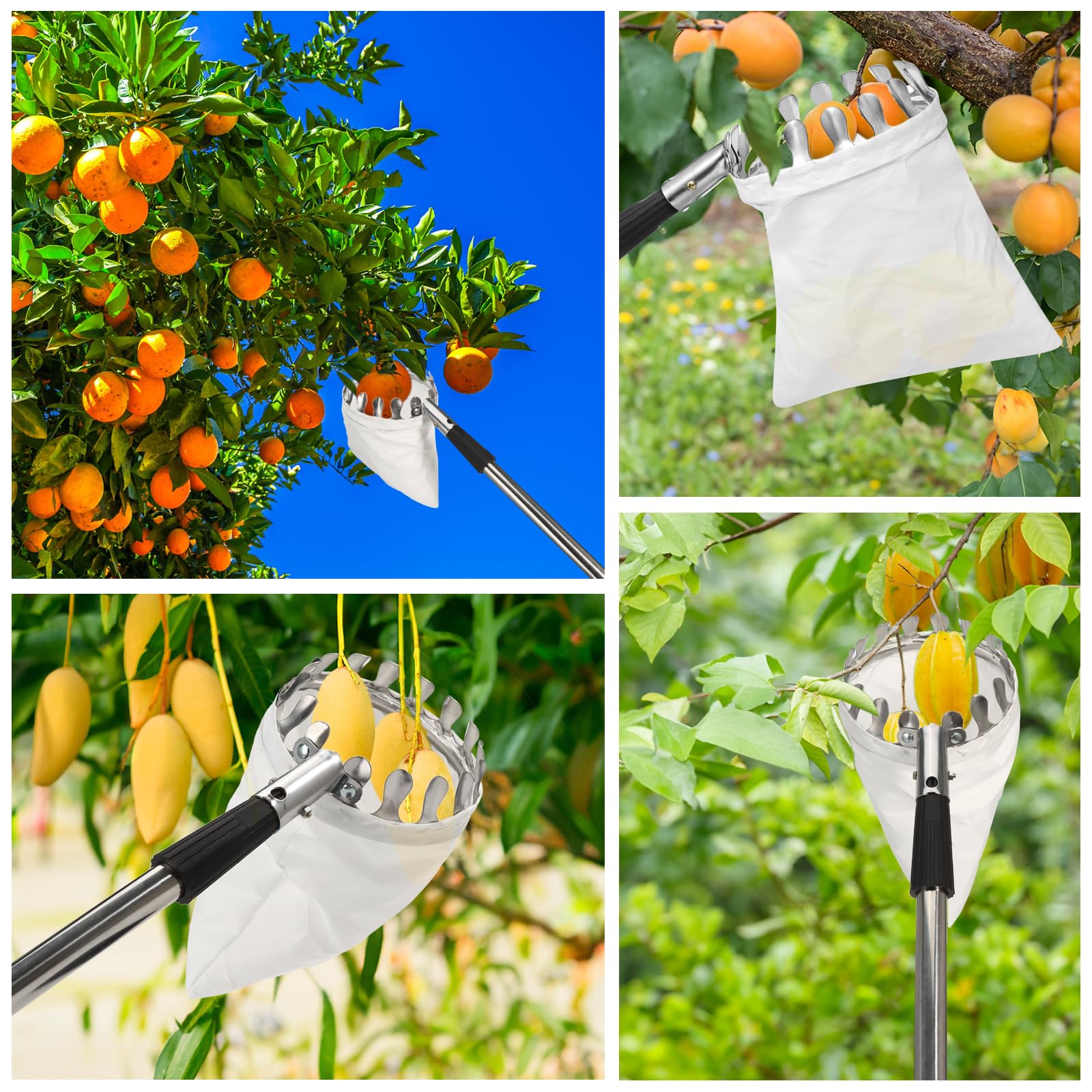 Draupnir 3,5m Cueille Fruit Telescopique, Cueille Pommes, Ramasse Fruits, Cueille Poires Cerise, Acier Inoxydable, Outil Cueilleur de Fruits avec Sac Coton Ø 16 cm