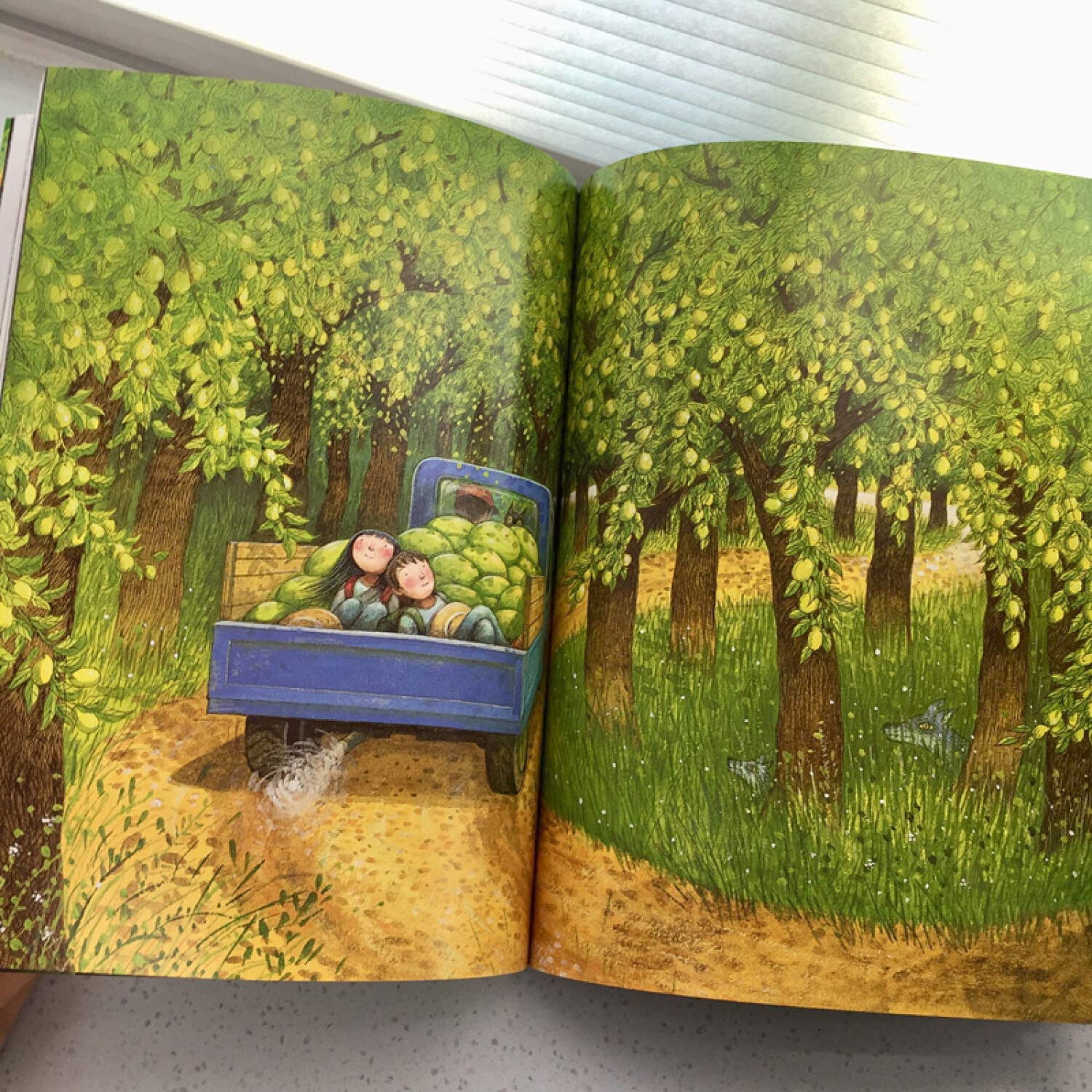 Starry Night星空      Paperback – March 1, 2014