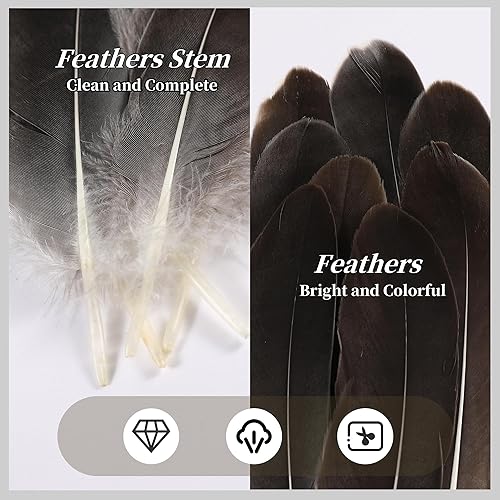 Miniatura 5 de Holmgren Plumas de ganso gris natural, 200 plumas de colores artesanales de 5 a 6 pulgadas para manualidades, alas de ángel, atrapasueños y