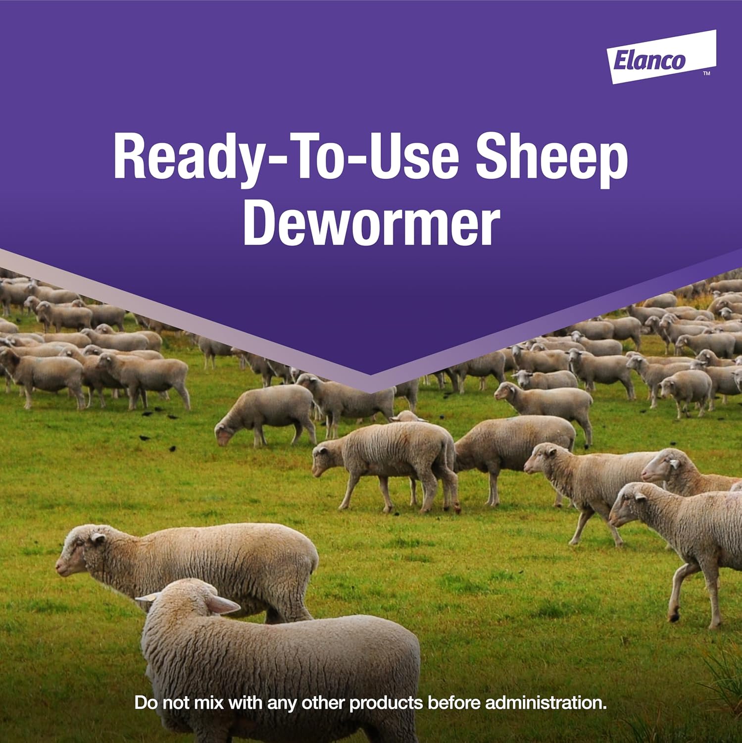 Cydectin (Moxidectin) Oral Drench for Sheep | Ready-to-use Solution Controls 13 Parasite Species | 1L Dewormer
