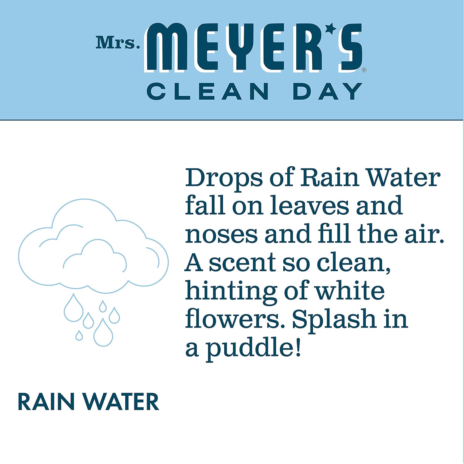 Mrs. Meyer's Moisturizing Body Wash for Women and Men, Biodegradable Shower Gel Formula Made with Essential Oils, Rain Water, 16 oz : Everything Else