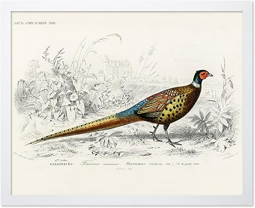 Miniatura 138 de Poster Master Póster vintage de flamenco americano, estampado retro de flamenco rosa, arte de pájaro, regalo para él, ella, amante de los animales,