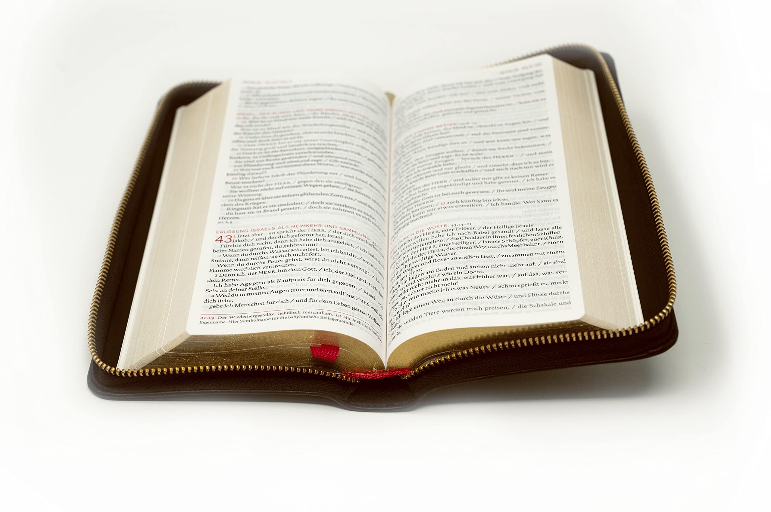 Die Bibel: Taschenausgabe in braunem Echtleder: Einheitsübersetzung