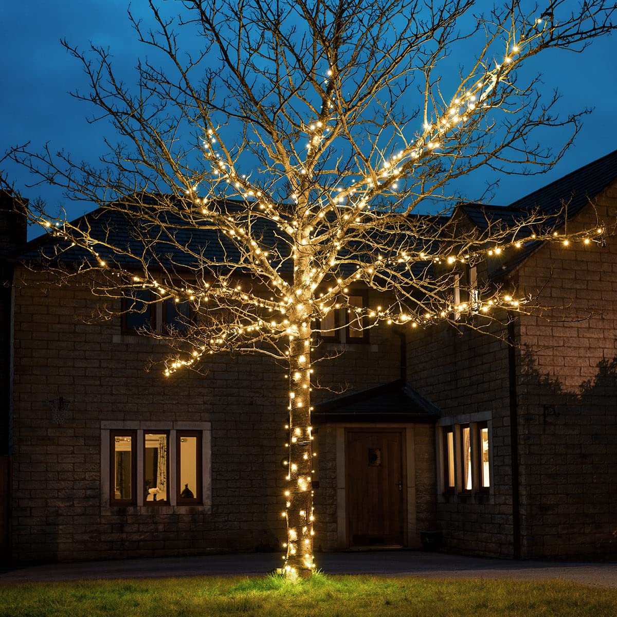 Festive Lights Warm White - Connectgo Connectable Outdoor Fairy Lights - Mains Powered Led String Lighting - Christmas, Garden, Wedding & Party (, 15M)