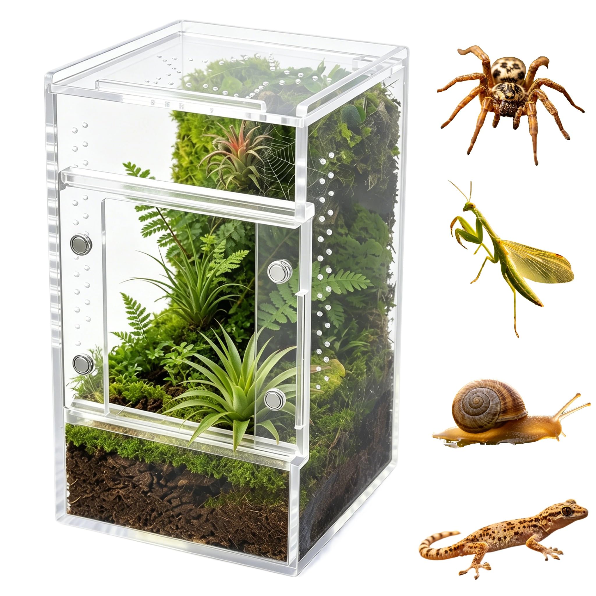 Jumping Spider Enclosure, Clear Acrylic Tarantula Habitat with Ventilation