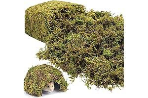 Premium Riare 1.3LBS Artificial Decorative Moss for Plants, Centerpieces, Terrariums