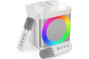 Portable Karaoke Machine with 2 Wireless Microphones