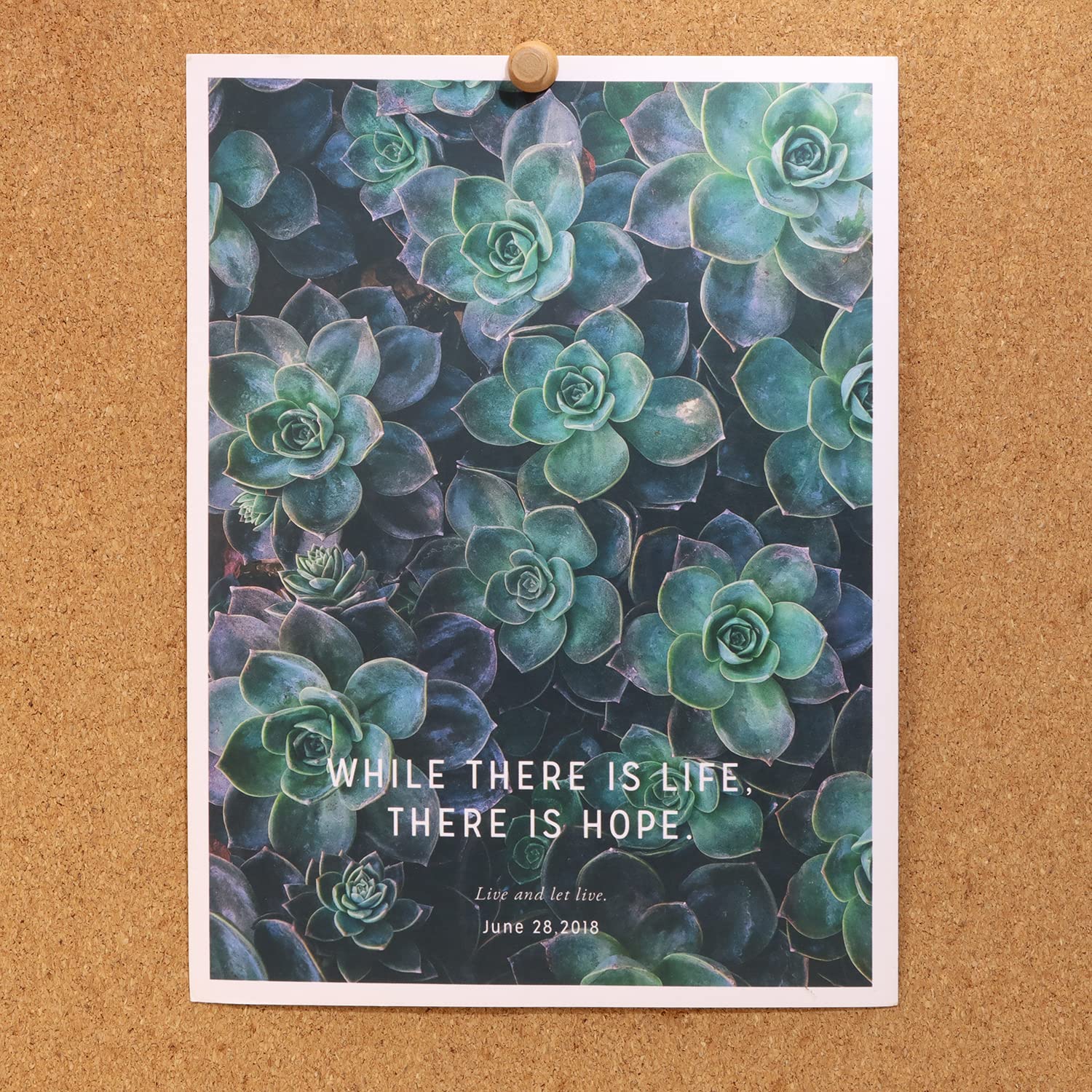 Punaises En Bois Naturel PWSHYMI - 30 Pièces - Design Mignon Et Durable