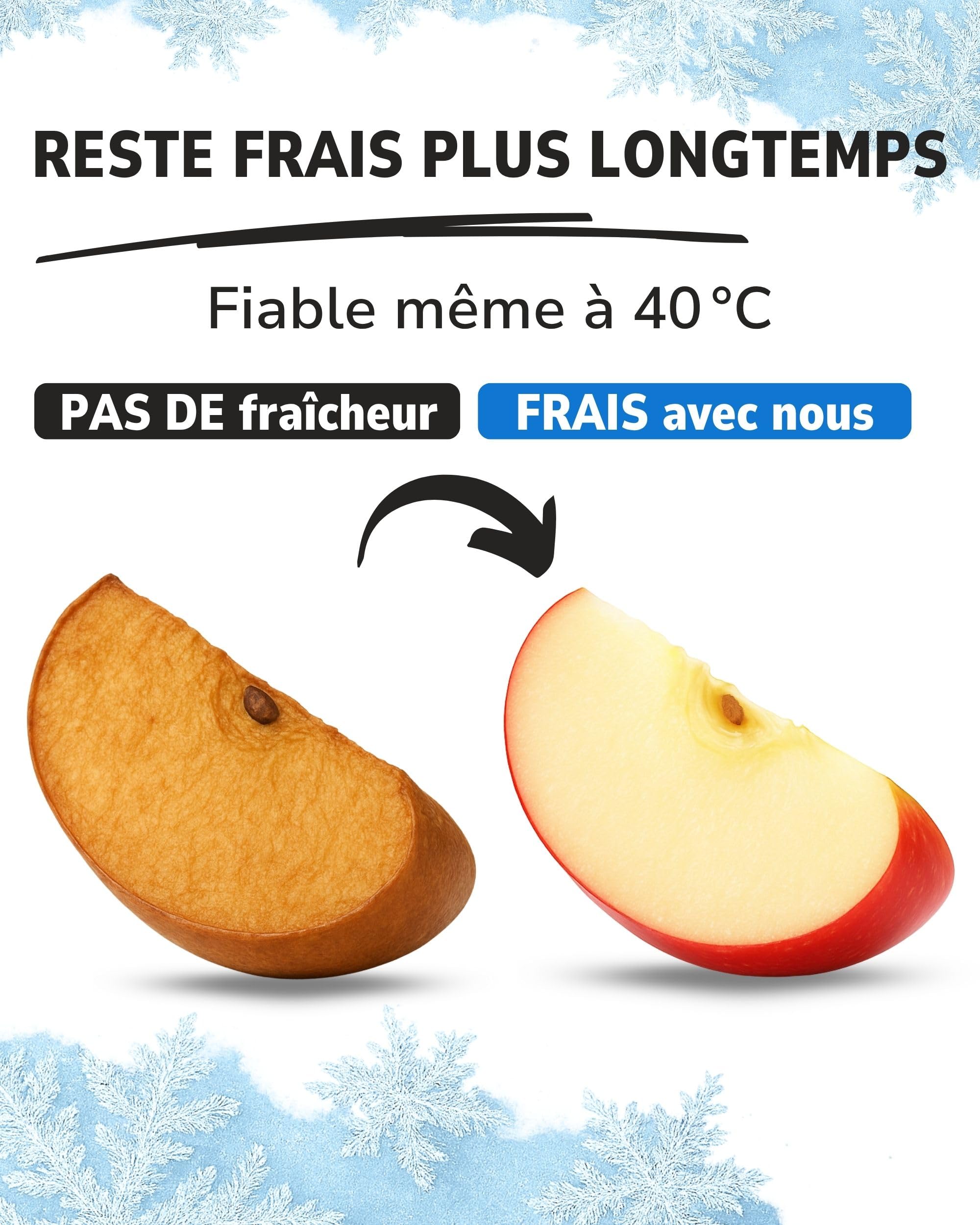 ToCi Lot de 2 à 16 blocs réfrigérants de 200 ml chacun - Éléments réfrigérants compacts pour sac isotherme et glacière - Réutilisables sans BPA - Jusqu'à 12 h de refroidissement - Qualité européenne