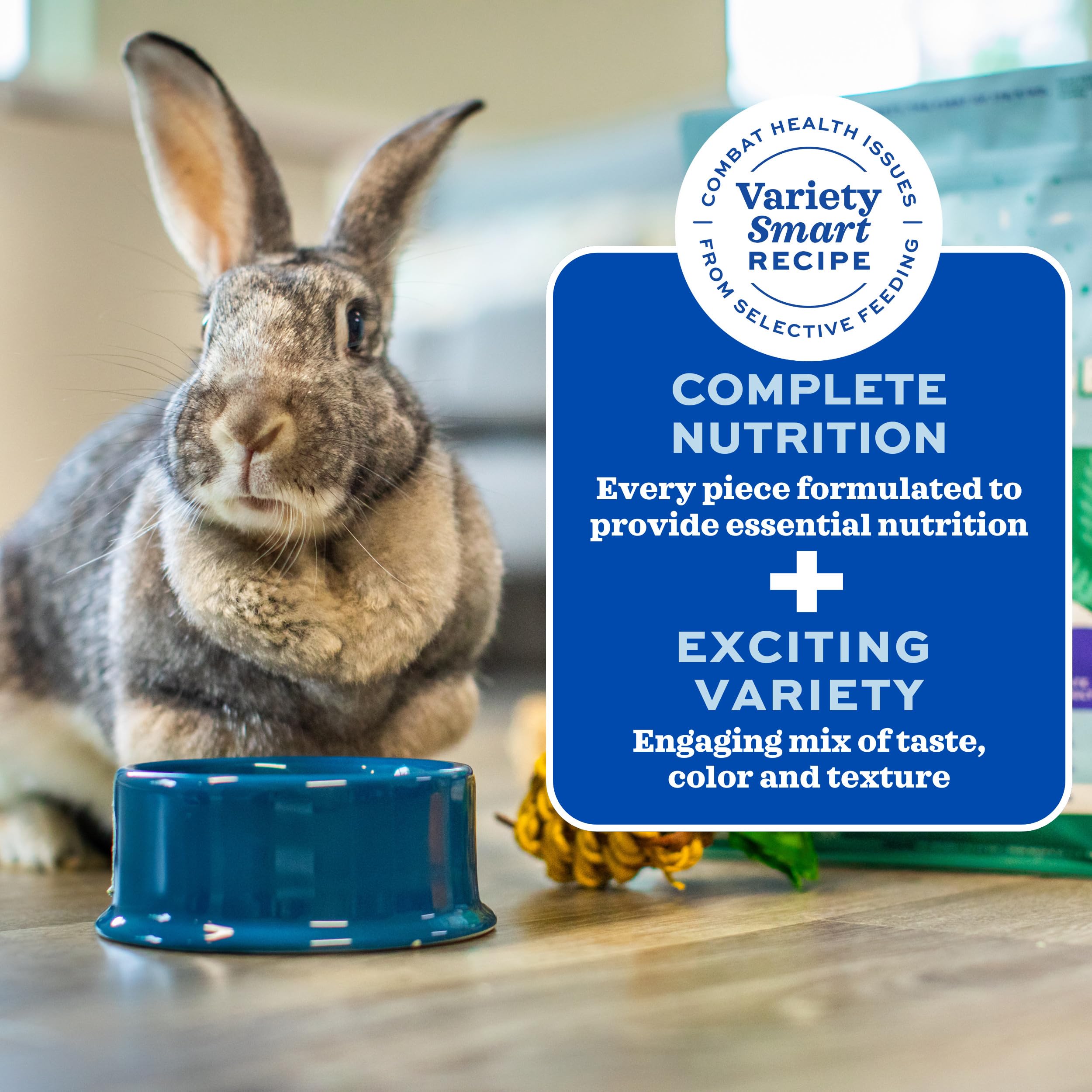 Oxbow Forage Wise Adult Rabbit Food, Engaging Variety Diet with Complete Nutrition in Every Piece, Timothy Hay Based Rabbit Food with Variety, 4 lb Bag - 4