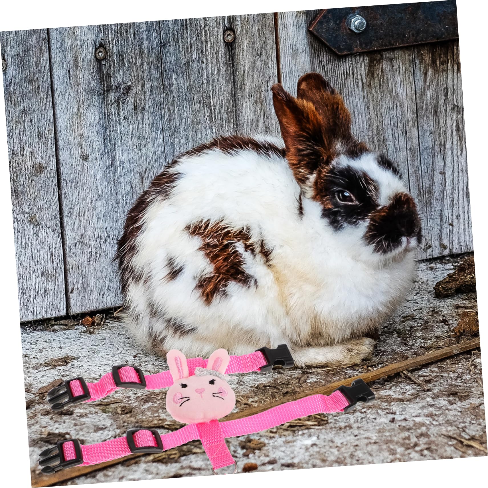 Totority 1Set Pet Harness and Leash for Rabbits Guinea Pigs and Ferrets Adjustable Lightweight Cartoon Bunny Walking Kit for