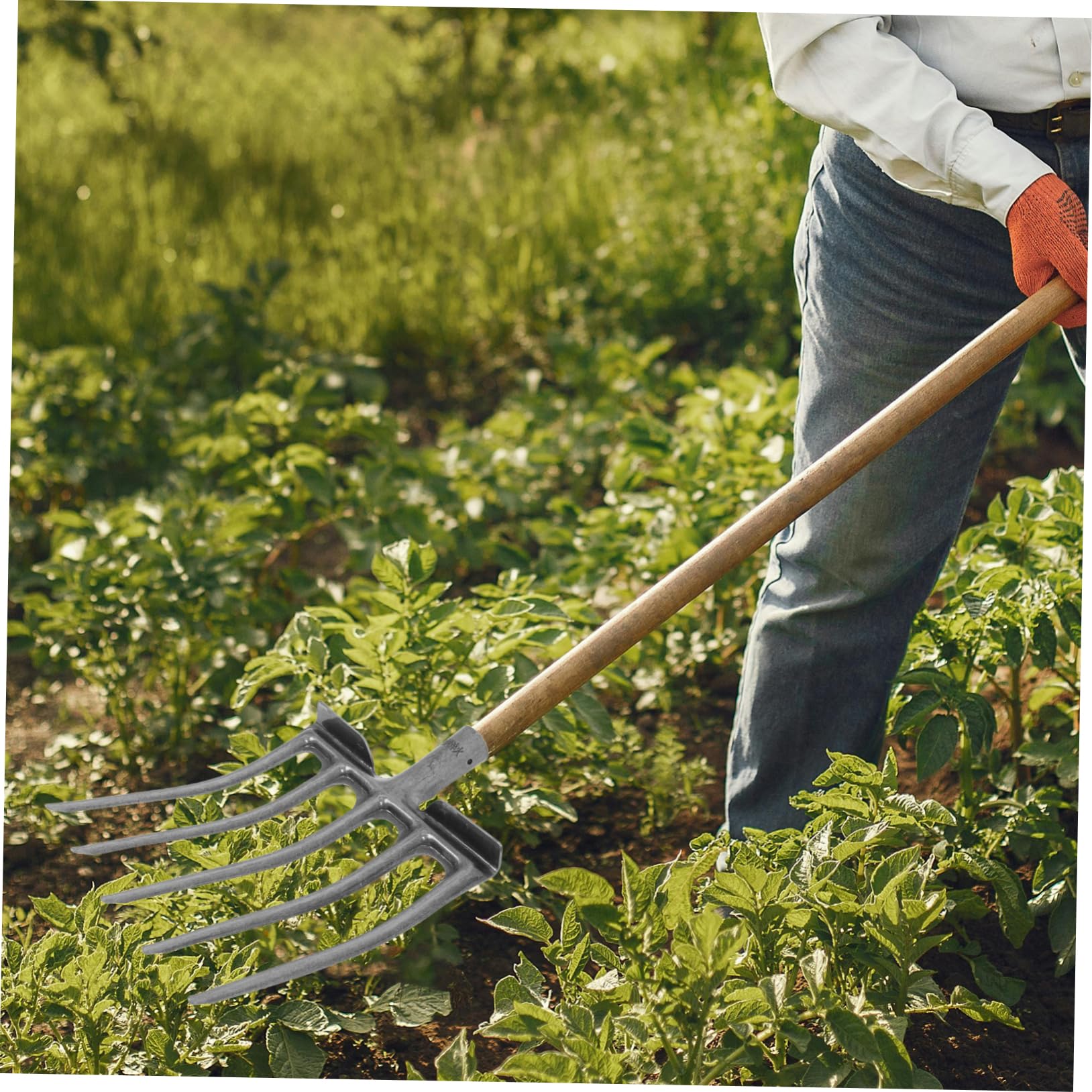 BESPORTBLE Forca in Acciaio a 5 o 6 Denti per Lavorazione del Terreno, Efficiente per Orto e Giardino, per Aiuole e Attività Agricole