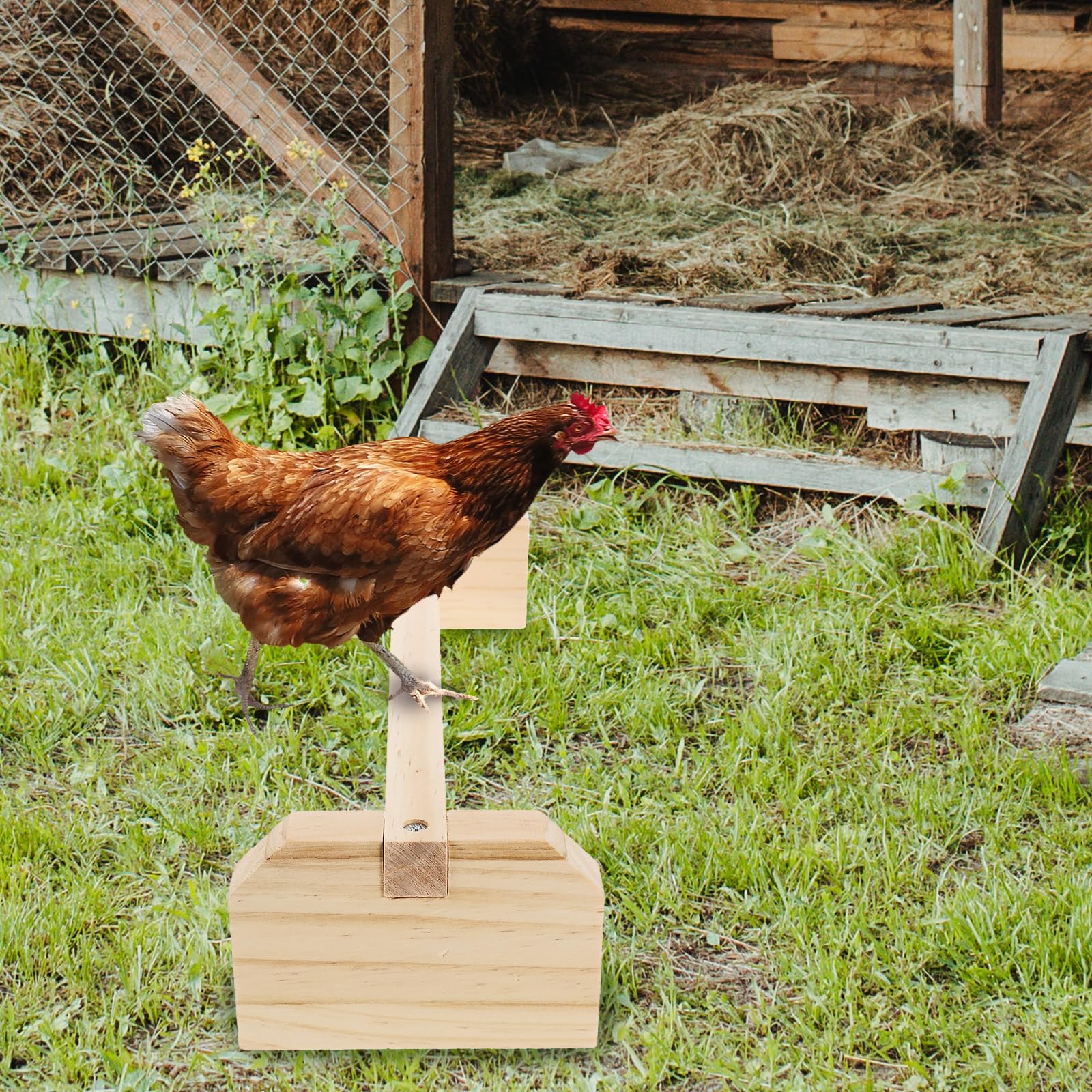 POPETPOP 2 barras de madera para gallina y gallinero para aves grandes, pollos Gallinas Polluelos loros