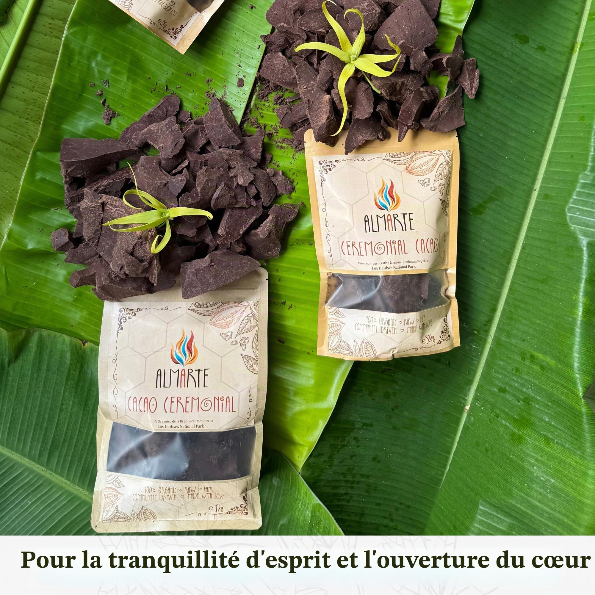 ALMARTE Cacao de cérémonie 250 g | 100 % brut et pur République dominicaine | Médecine ouvrante du cœur | Single Origin Bio | Ferme régénérative | Énergie théobromine | Substitut de café