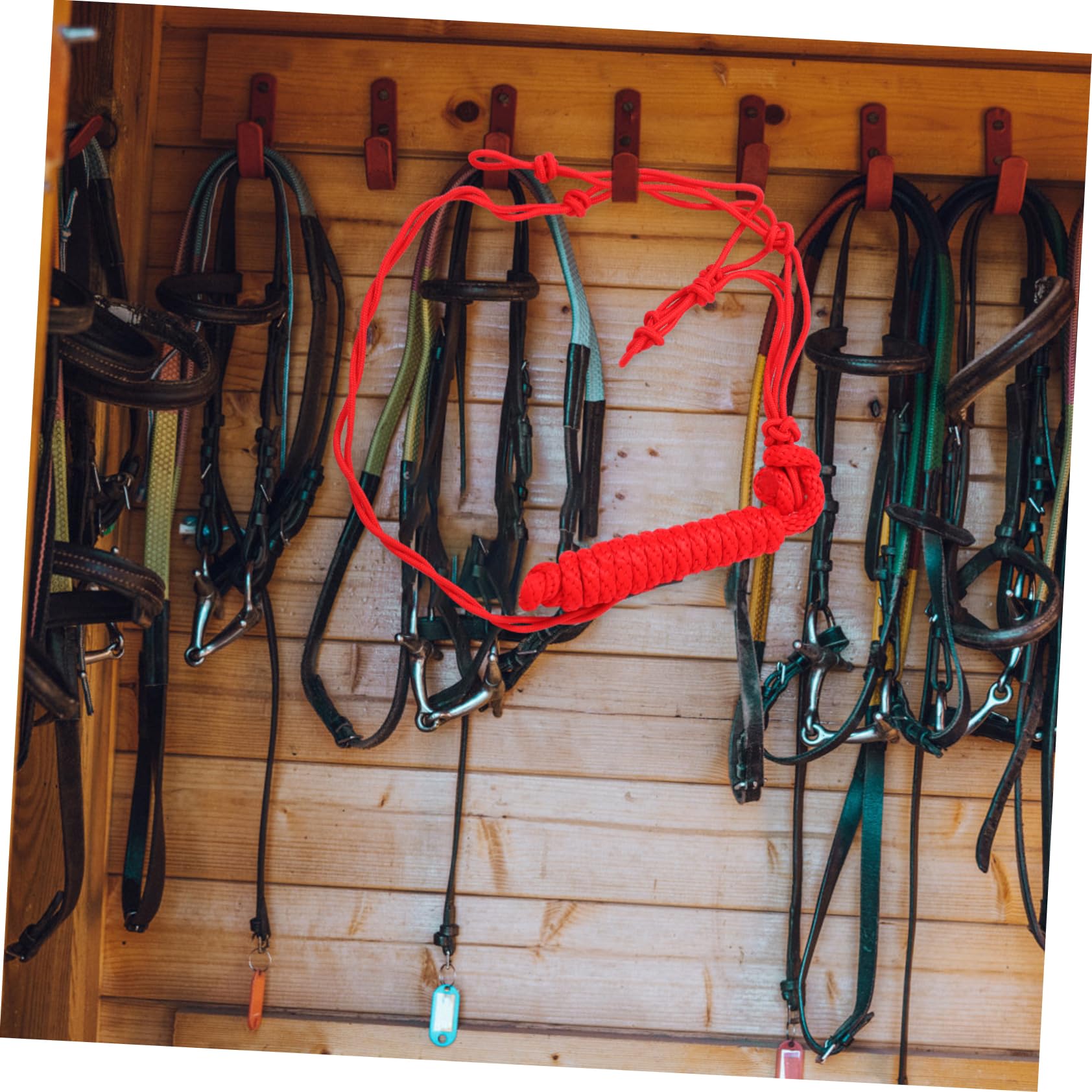 Cabestro para Caballo de Montar Rojo de Poliéster Portátil | Pista de Montar, Herramienta de Entrenamiento Equino, Fácil de Guardar y Transportar