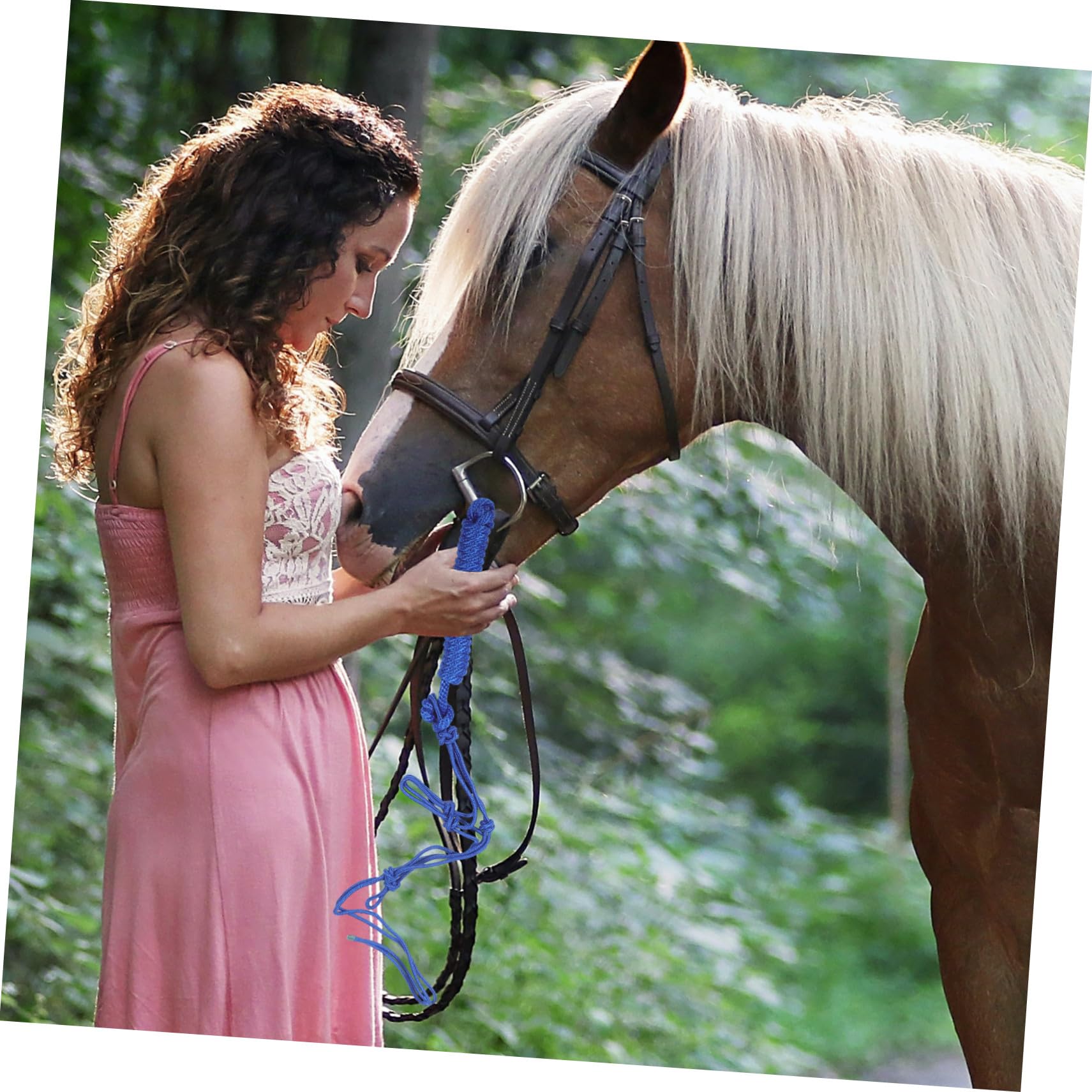 Gatuida Cabestro de Cuerda Trenzada para Caballos Portátil y Resistente al Desgaste para Exhibiciones y Entrenamiento Cabezada y Collarín para Montar