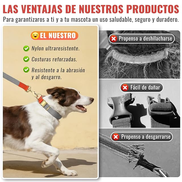 Foto 5 de 6 de Set de Collar y Correa 152cm para Perros L (38-58cm) Nailon (Gris)