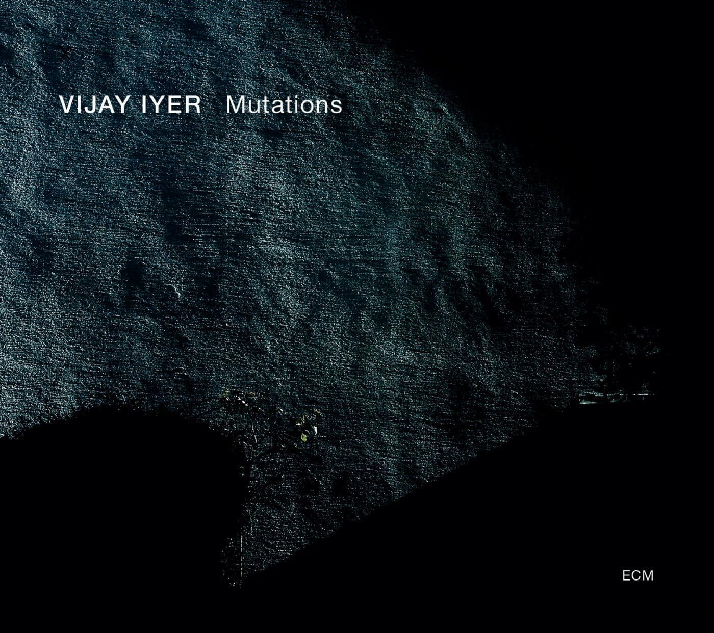 MUTATIONS VIJAY IYER