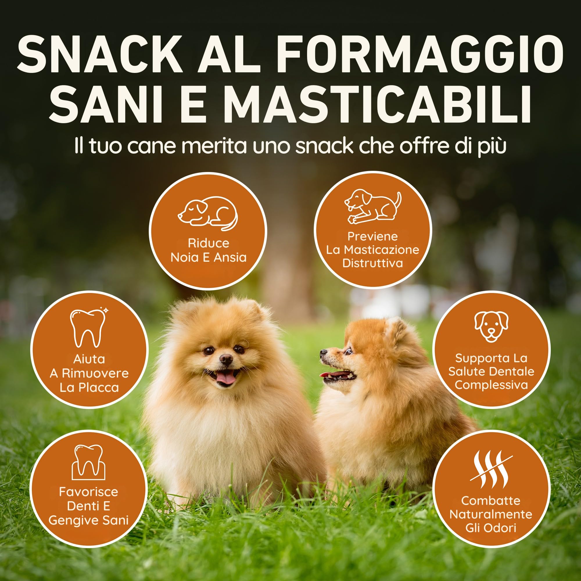 Wildfang Snack per Cani in Formaggio Duro XS 28 g per Cani fino a 10 kg Bastoncino da Masticare Himalayan Durezza tipo Yak Masticativi Naturali per Cani stile Churpi Confezione da 1