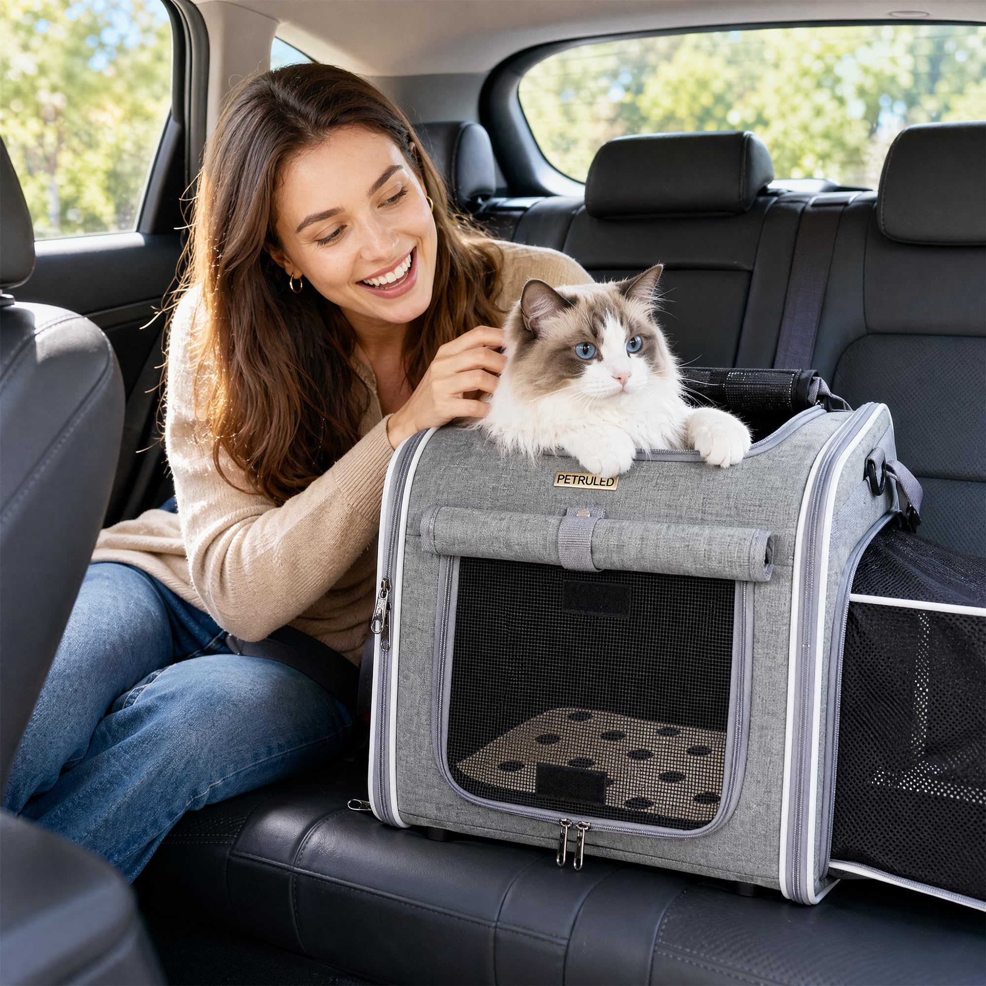 Hundefahrradkorb, Erweiterbarer, Weicher Fahrradtransportrucksack mit 4 Mesh-Fenster, 4 Offenen Türen für Kleine Hundekatzenwelpen