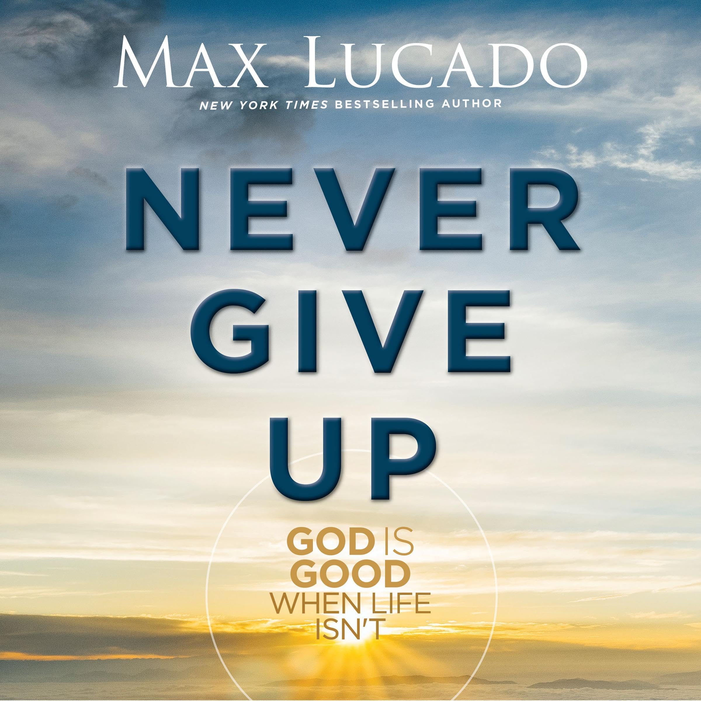 Cover art for Never Give Up
