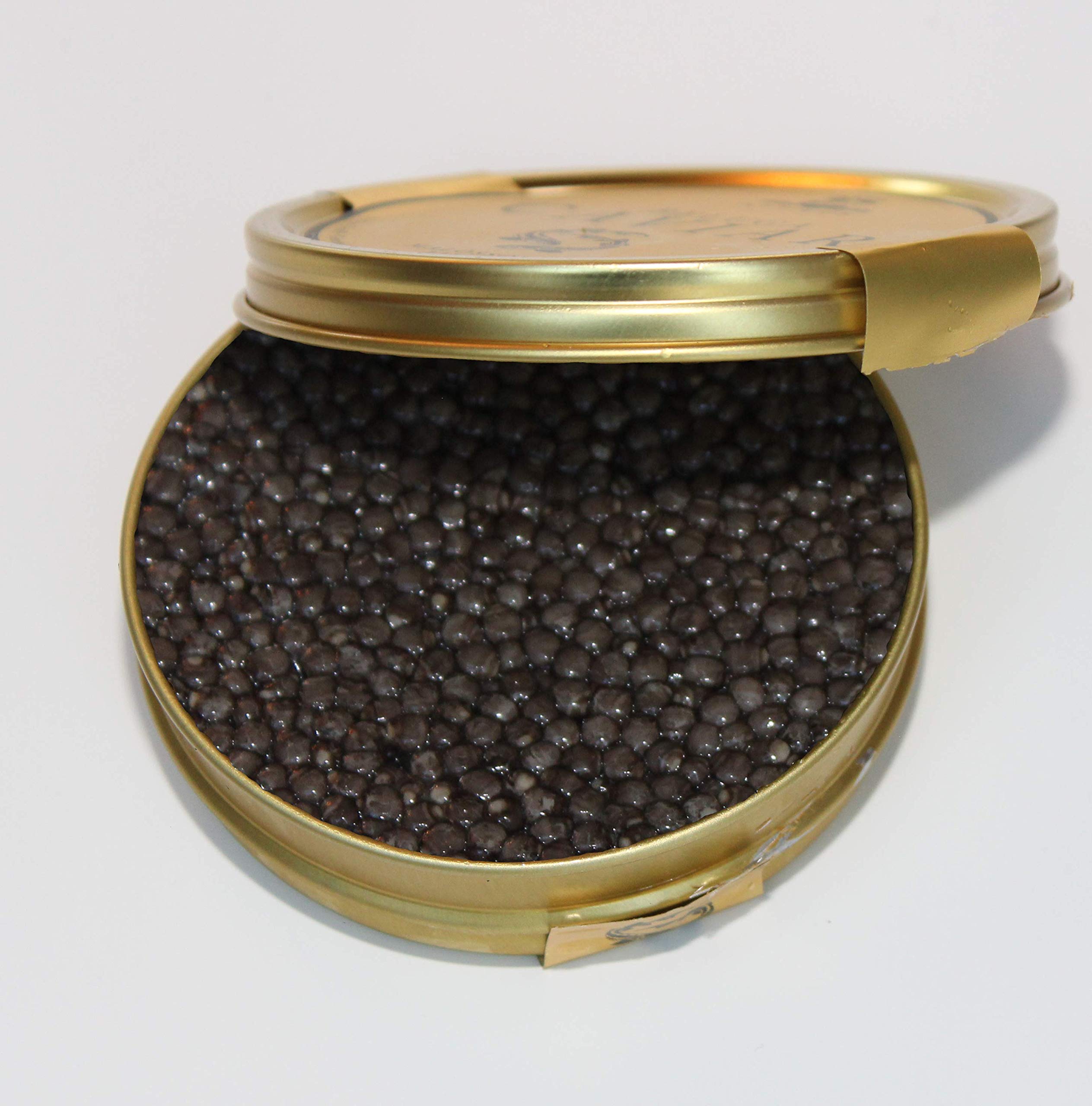 Attilus Beluga Caviar