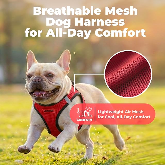 Foto 5 de 8 de Voyager Step-in Air Arnés de Malla para Cualquier Tiempo, Reflectante, para Perros pequeños/medianos y Gatos