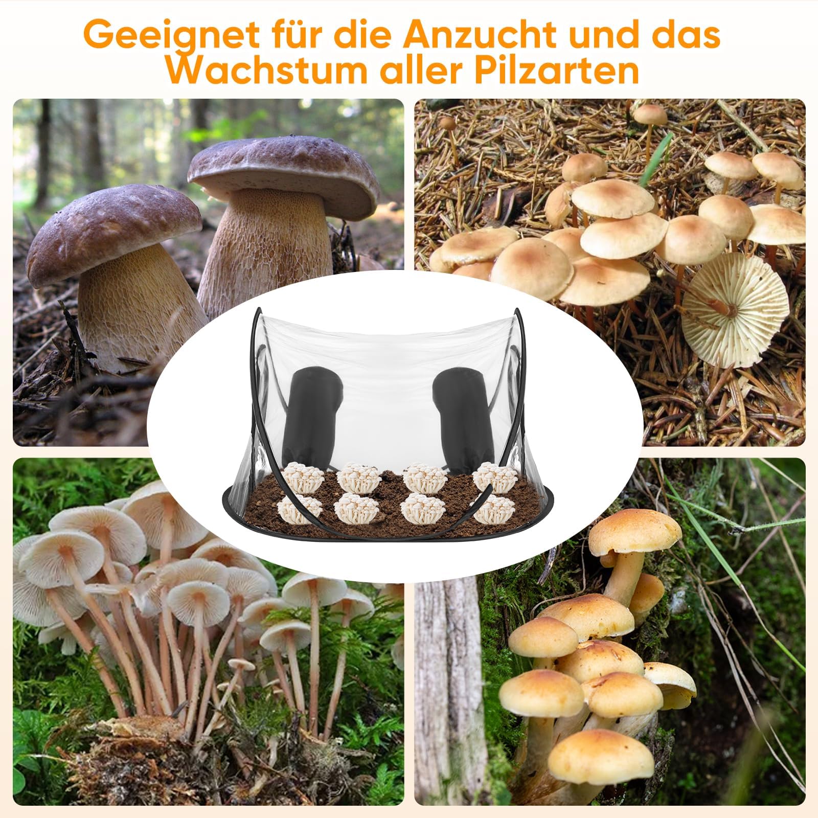 Tente de culture de champignons, kit de culture de champignons portable, tente de culture de champignons avec fermeture éclair et trou de bras, serre de culture étanche (style noir)