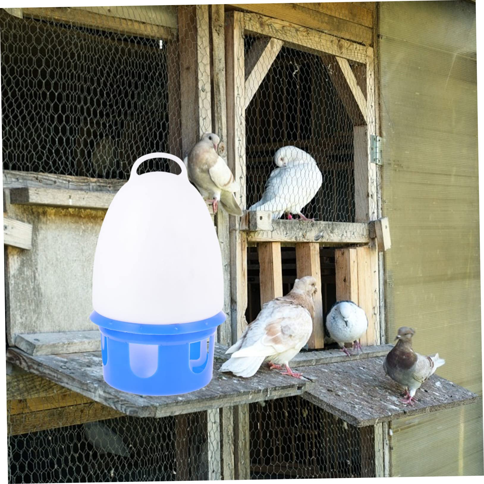 Abreuvoir pour Pigeons Autonome, Facile à Nettoyer, PVC Bleu