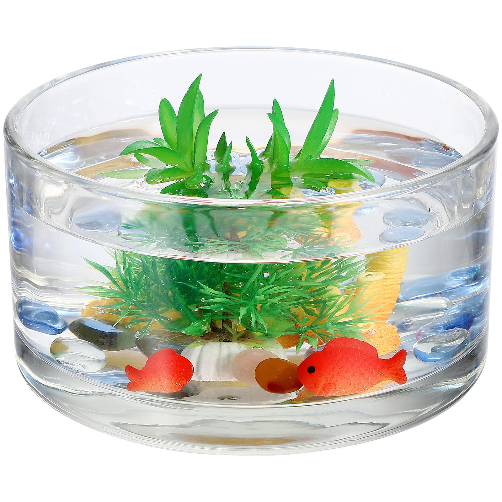 Ciieeo Terrario in Vetro Trasparente Rotondo per Fiori e Pesci Alta Trasparenza e Resistente, Vaso Decorativo per Casa e Festa dal Design Raffinato e Creativo
