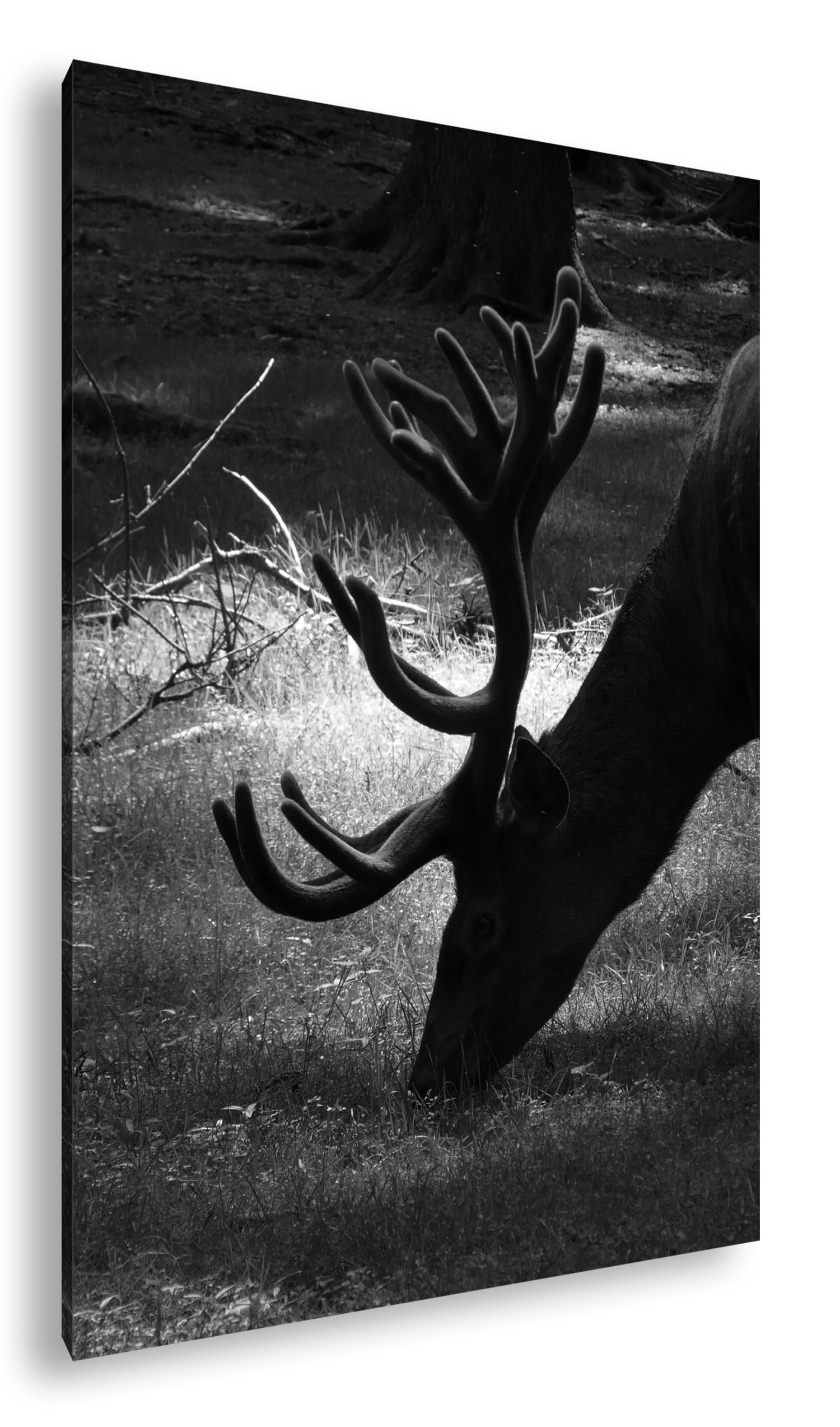 Tableau cerf rouge deyoli grand format 90x60 en bois véritable - 8