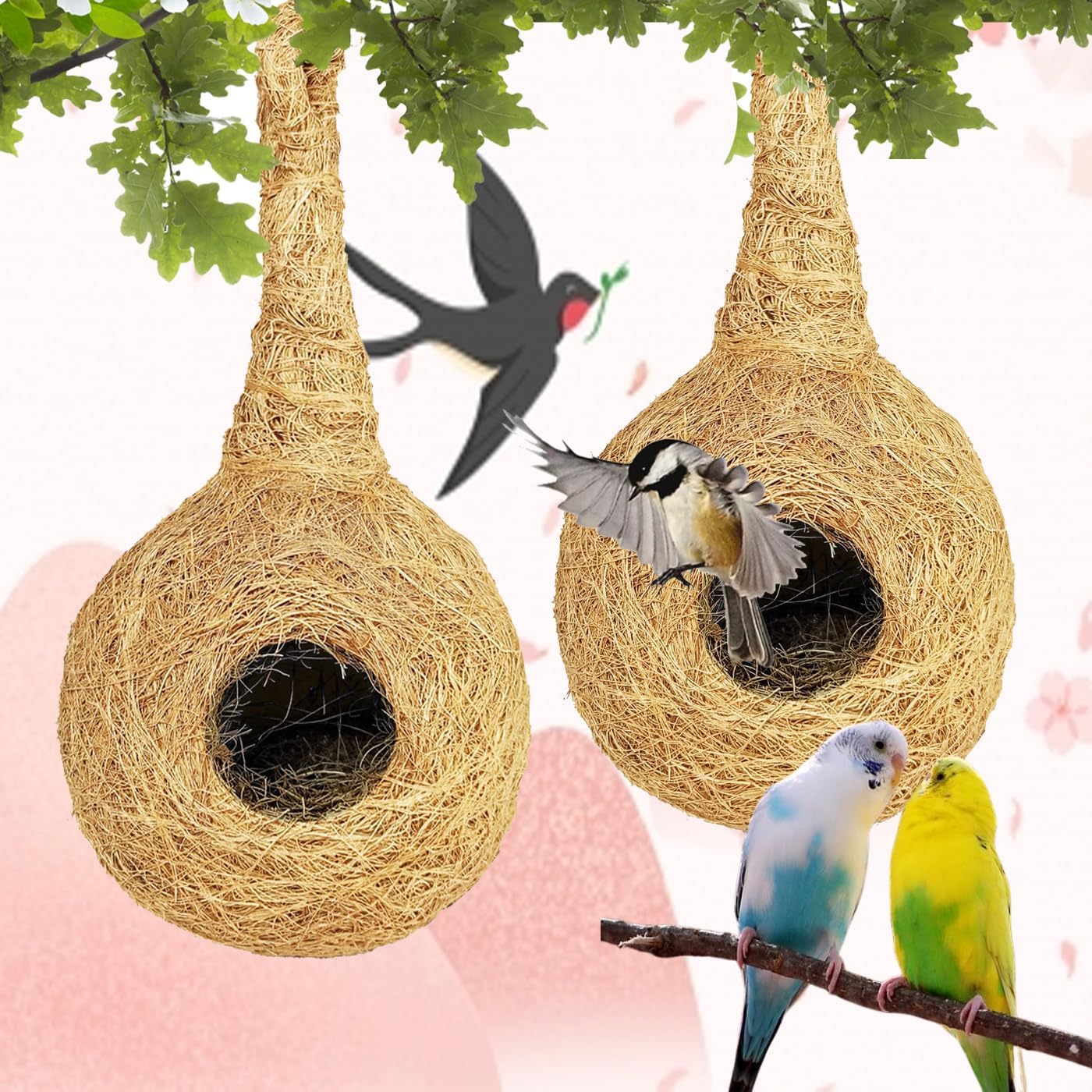 Verbier Set of 2 of Coconut Fiber Birds nest for Birds Sparrows (B09XQR5GJS) Amazon Price History, Amazon Price Tracker