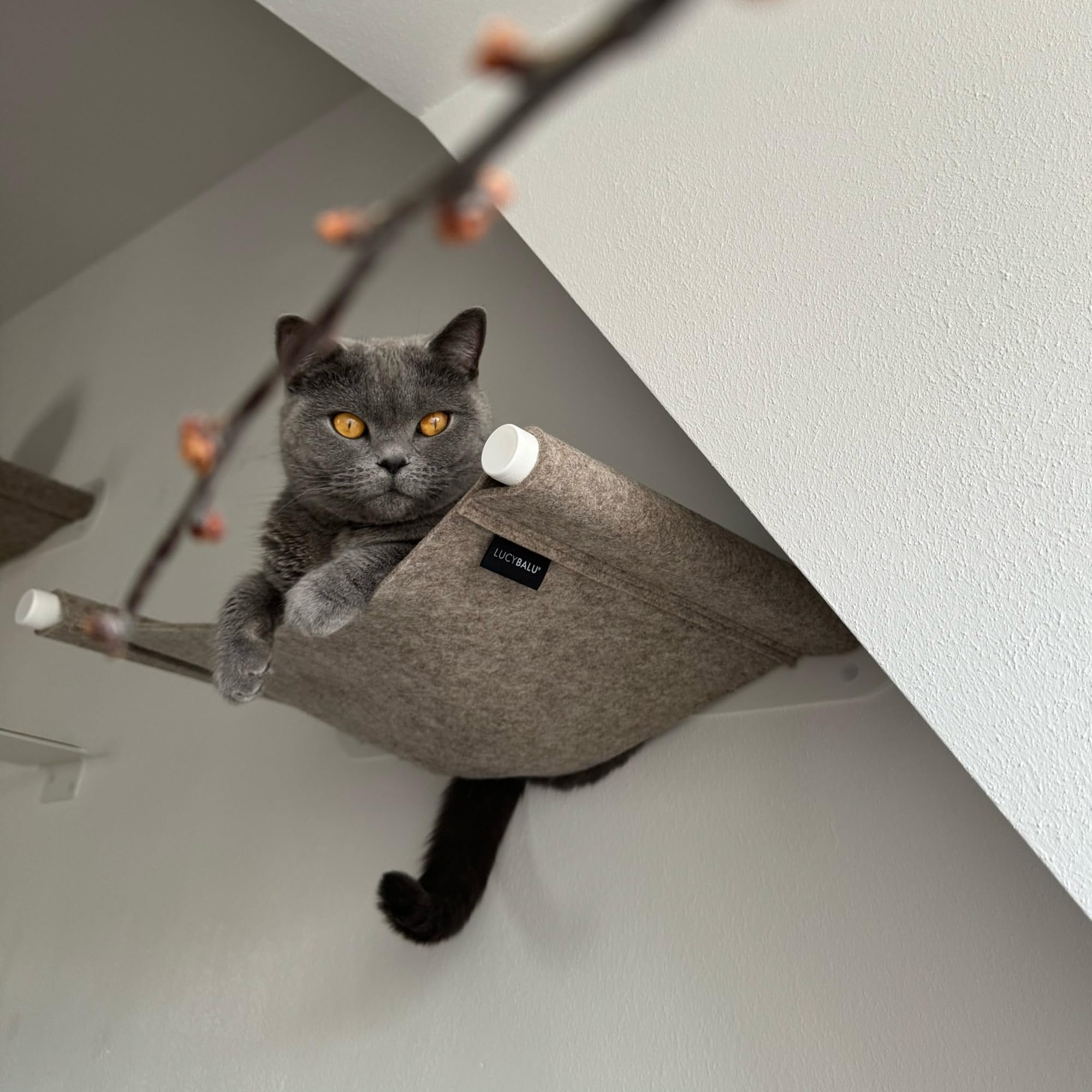 LucyBalu® Swing Hamac Mural pour Chat en Feutre Naturel I Blanc