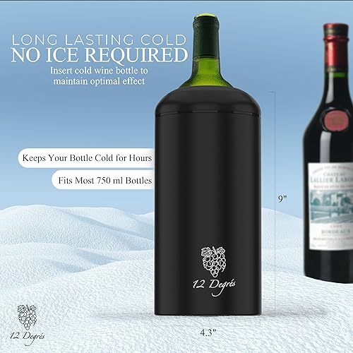 Miniatura 12 de Juego de enfriador de vino, regalo perfecto para mujeres y hombres, enfriador de vino aislado de acero inoxidable con bomba de vino, aireador y 4