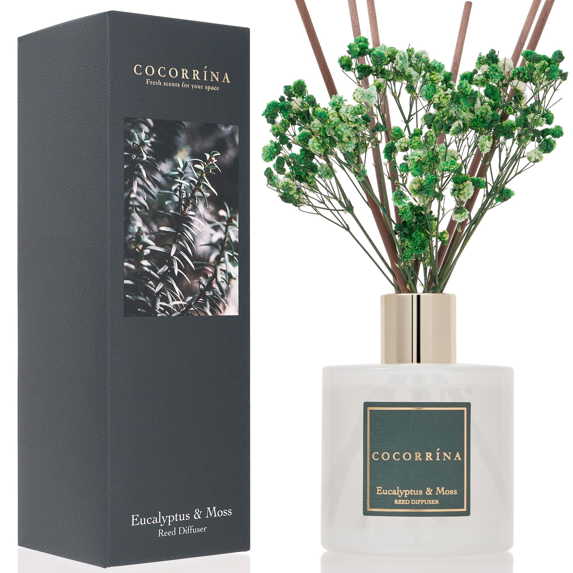 Cocorrína Diffuseur Parfum Maison, Eucalyptus et Mousse 200ml avec Diffuseur Bâtonnets diffuseur de Parfum, Batonnets Diffuseur Parfum, Reed Diffuseur pour Salle de Bain étagère décoration