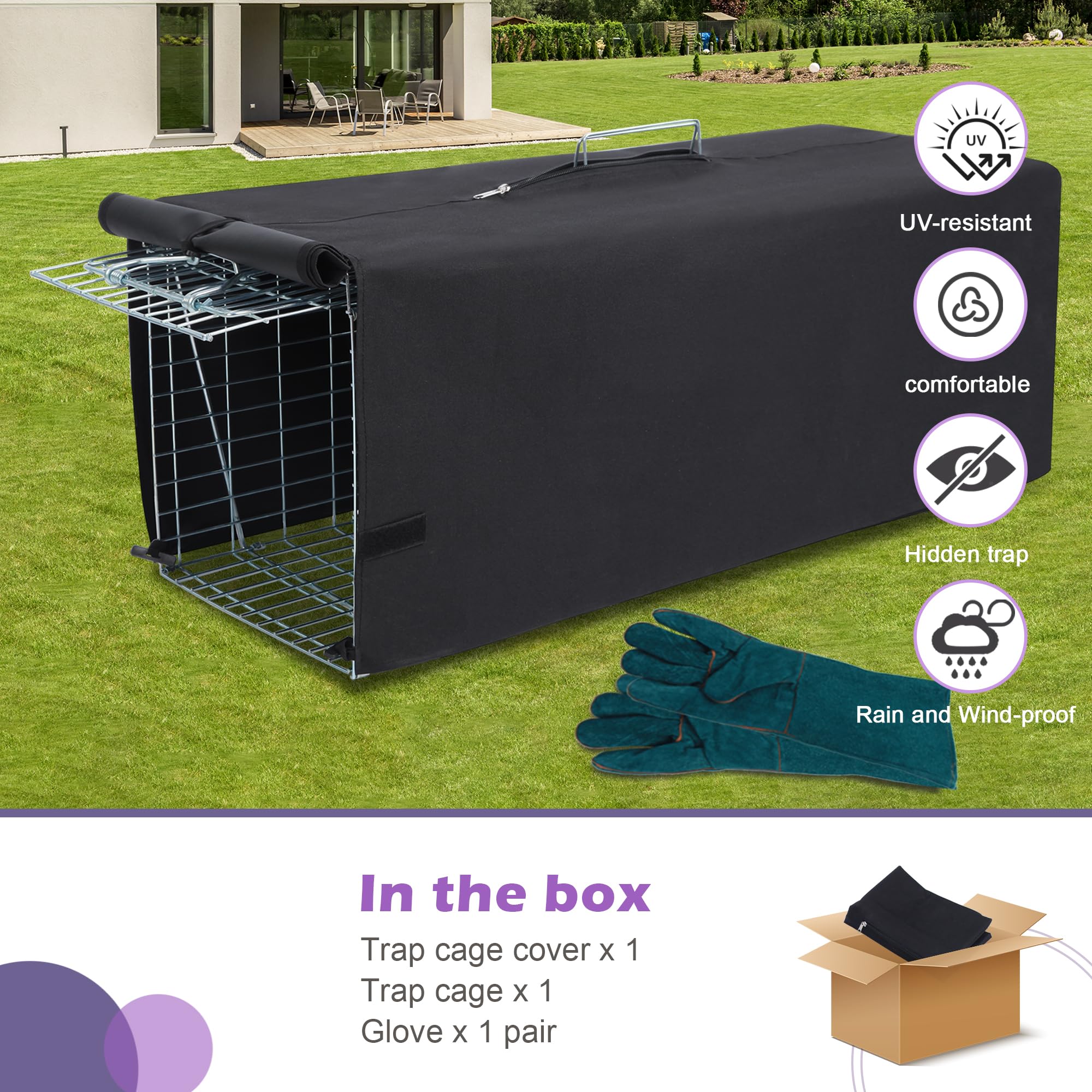 https://m.media-amazon.com/images/I/810rOy3pnSL.jpg