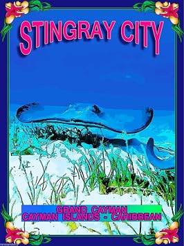 Magnet Stingray City Cayman Islands Caribbean Island Travel Advertisement Art Magnet