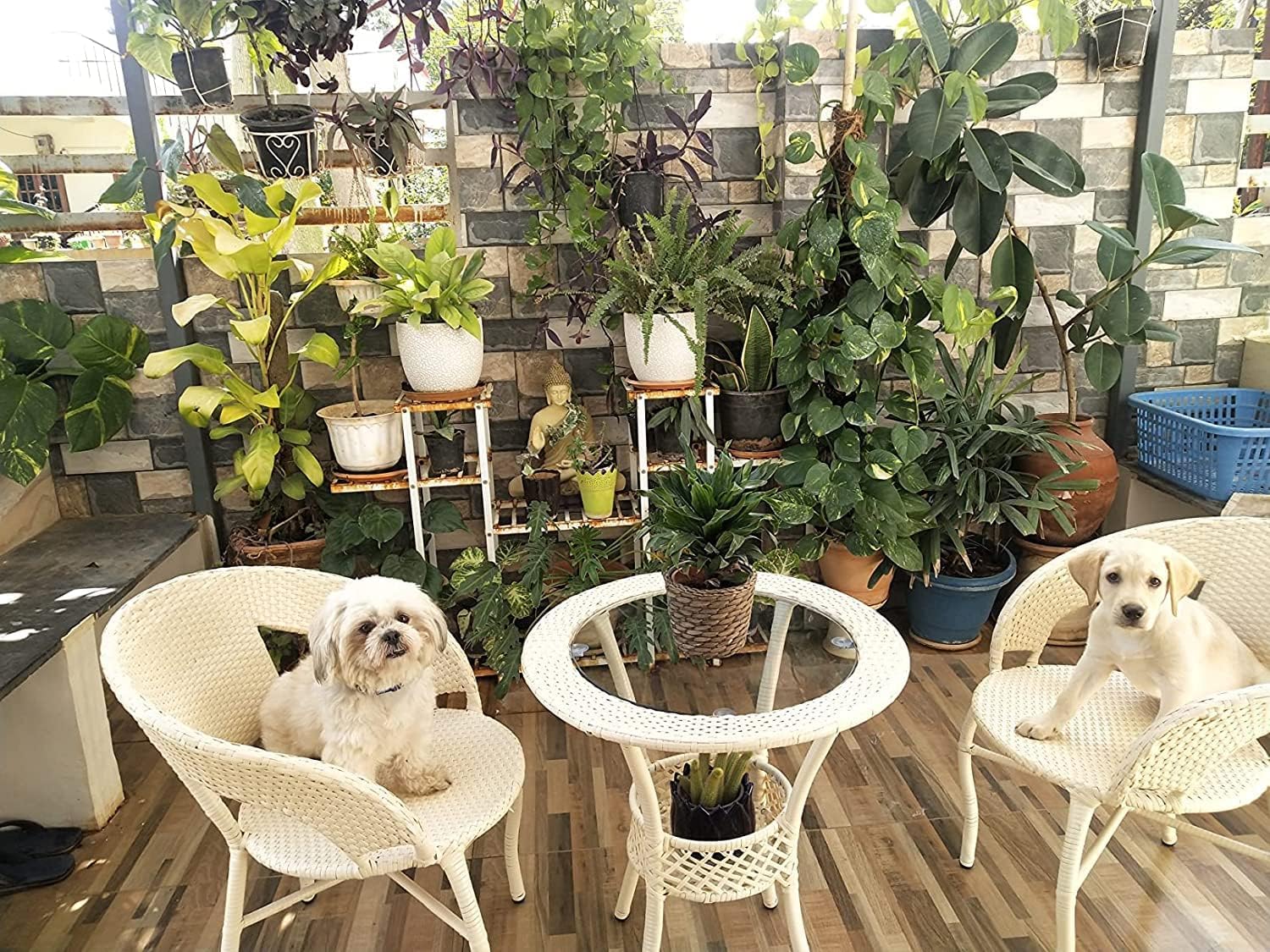 HRIDYANSH Patio 2 Seater Outdoor Seating Chair and Table Set, Garden Cane Patio Coffee Table Set, Outdoor Balcony Wicker Furniture with 1 Table and 2 Chairs Set-image-7