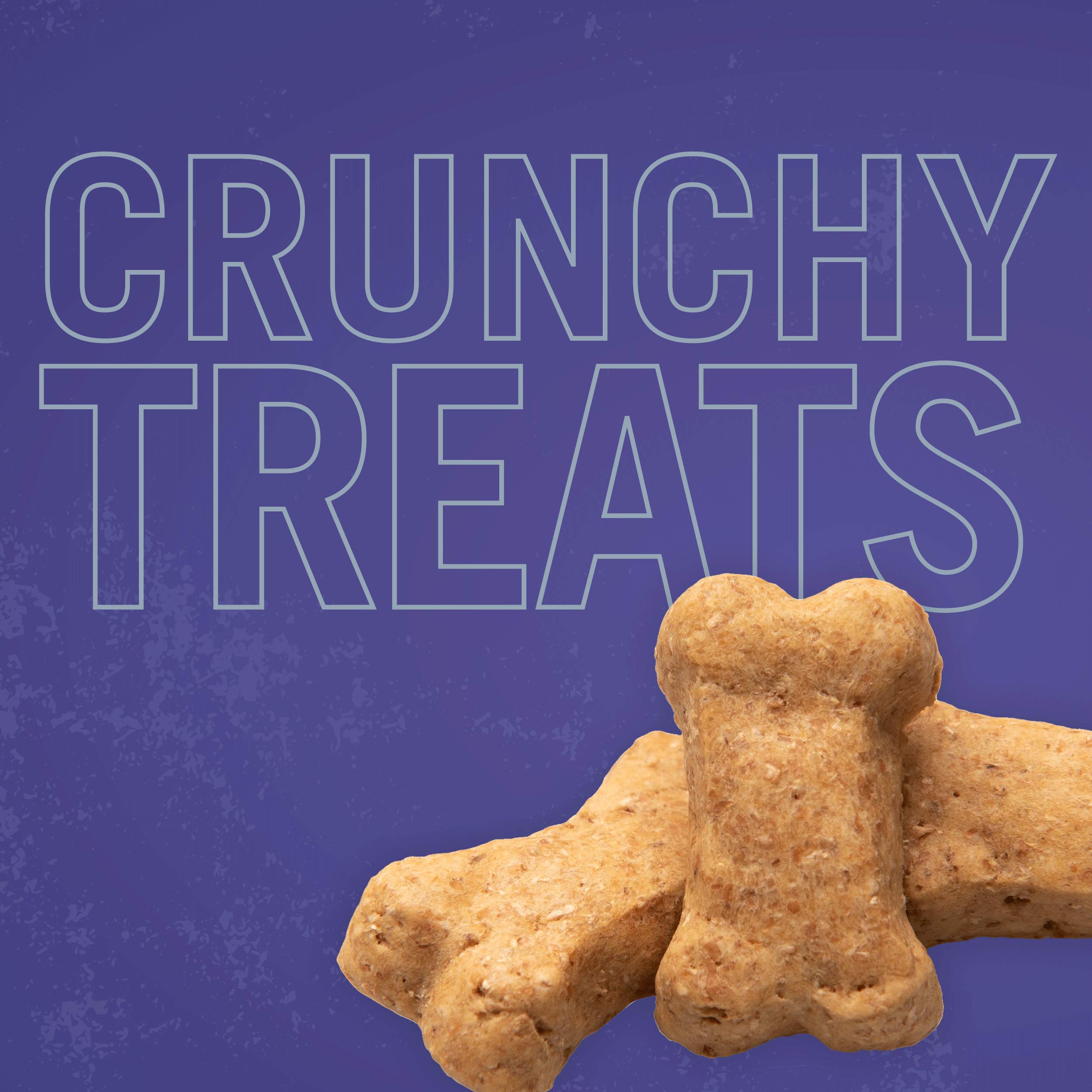 three dog bakery itty bitty bones