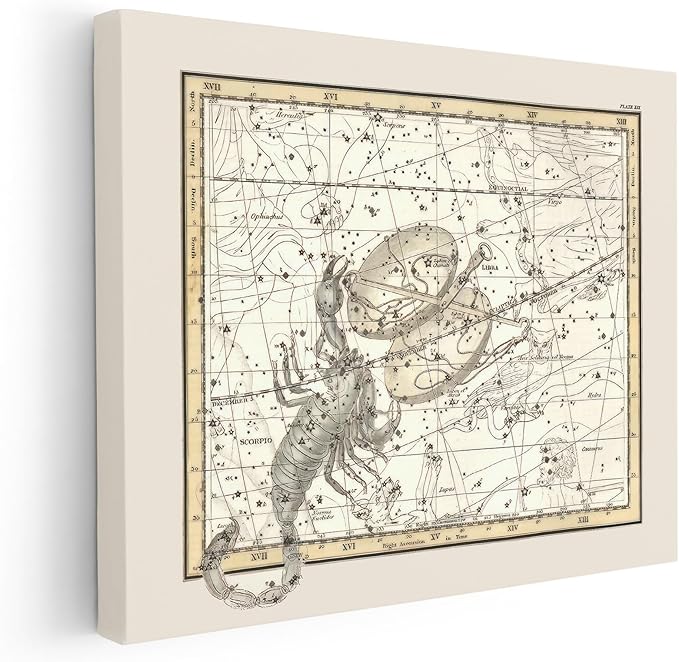 Poster Master Astrology Canvas - Libra and Scorpio Zodiac Print - Constellation Art - Housewarming Gift for Men & Women - Wall Decor for Living Room or Office - Available in 8x10 to 30x40