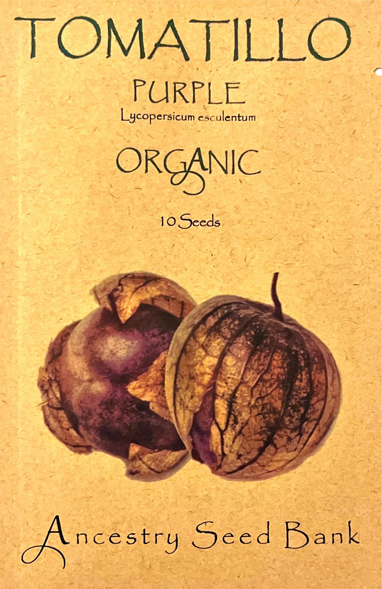 Organic TOMATILLO ❁ Purple (Physalis ixocarpa) ❁ 10 Seeds Heirloom - Non GMO