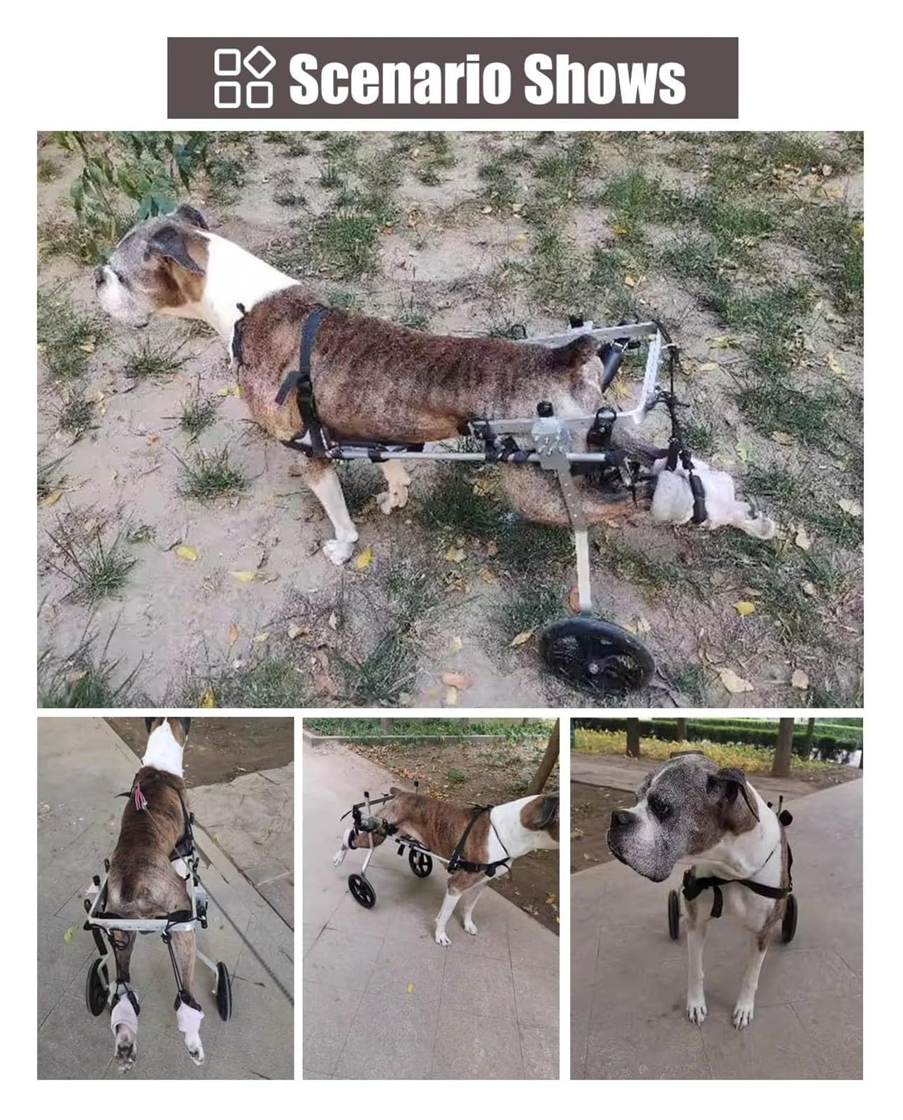 Carrello Cani Disabili, Sedia a rotelle per Cani, Deambulatore assistito a 2 Ruote for Arti Posteriori paralizzati, Carrello for la Mobilità in Alluminio(Size XXXL)